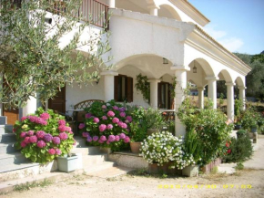 residence u filipaghju